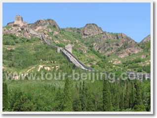 Beijing Beidaihe 3 Day Bird Watching Tour